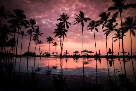 Silhouettes of palm trees at a resort pool during a stunning tropical sunset.